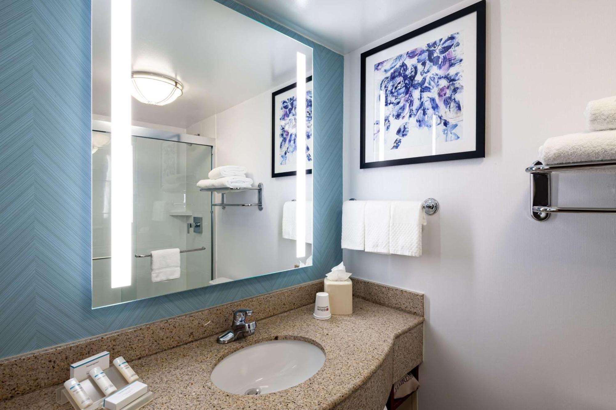 Hilton Garden Inn Chicago O'Hare Airport Des Plaines Esterno foto