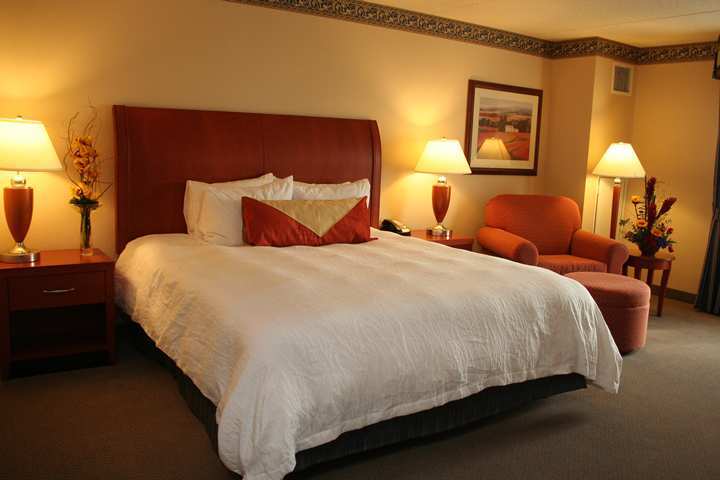 Hilton Garden Inn Chicago O'Hare Airport Des Plaines Camera foto